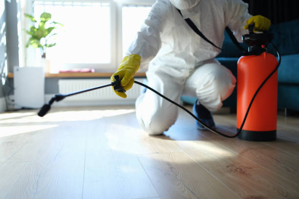 Reliable Odor Removal contractor in Marion, SD by Trauma Clean Pros